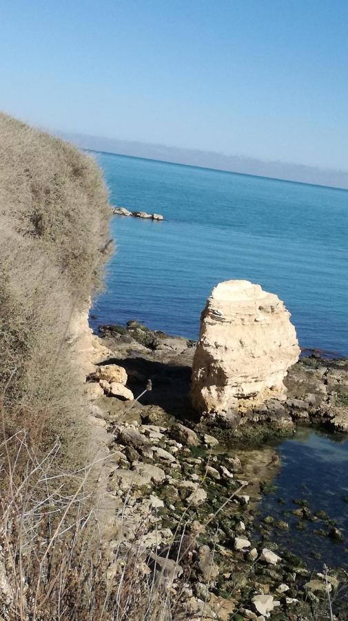 تراني B&B Villa Mediterranee Con Parking Space المظهر الخارجي الصورة