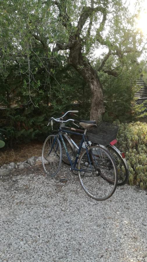 تراني B&B Villa Mediterranee Con Parking Space المظهر الخارجي الصورة
