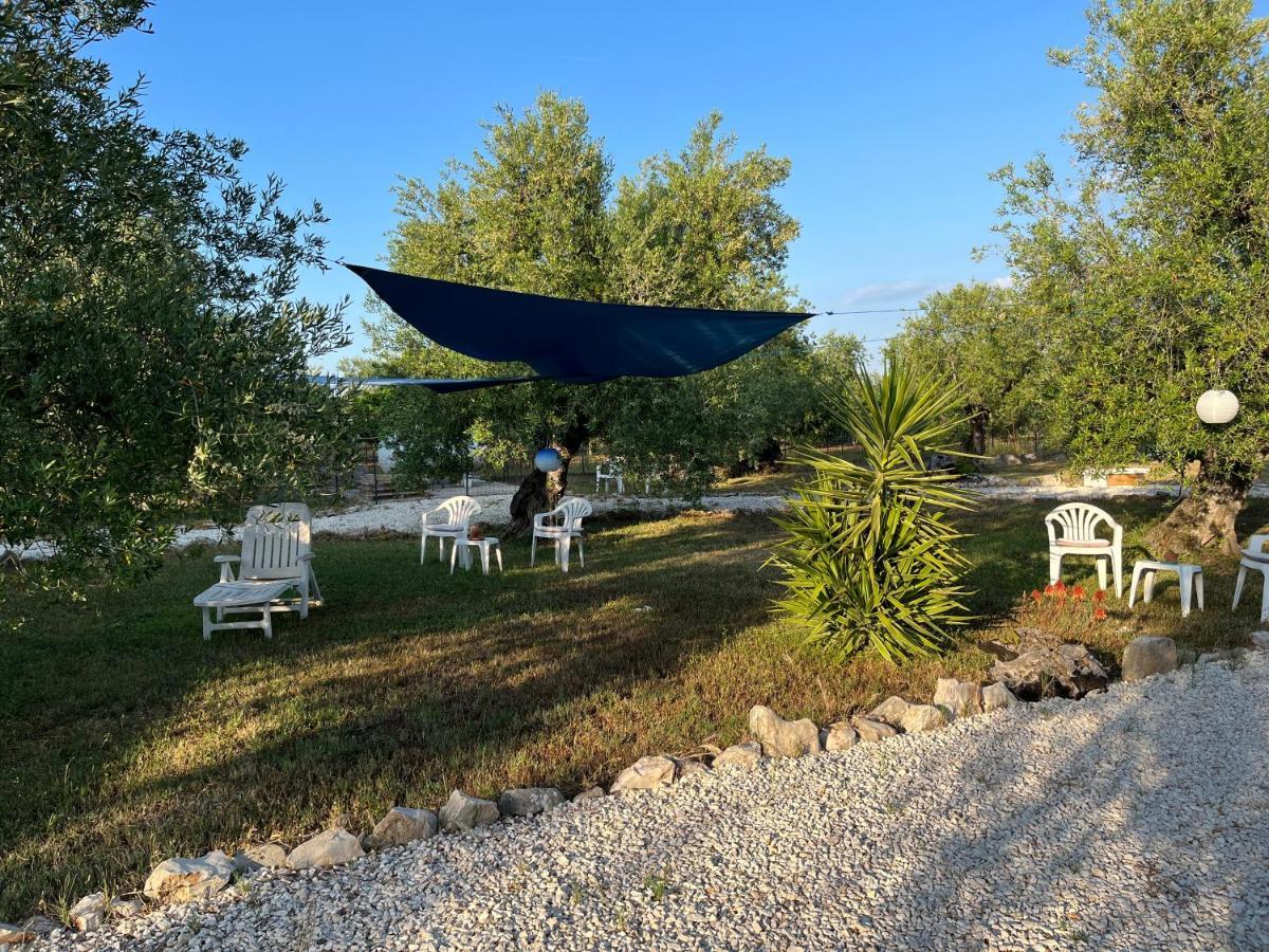 تراني B&B Villa Mediterranee Con Parking Space المظهر الخارجي الصورة