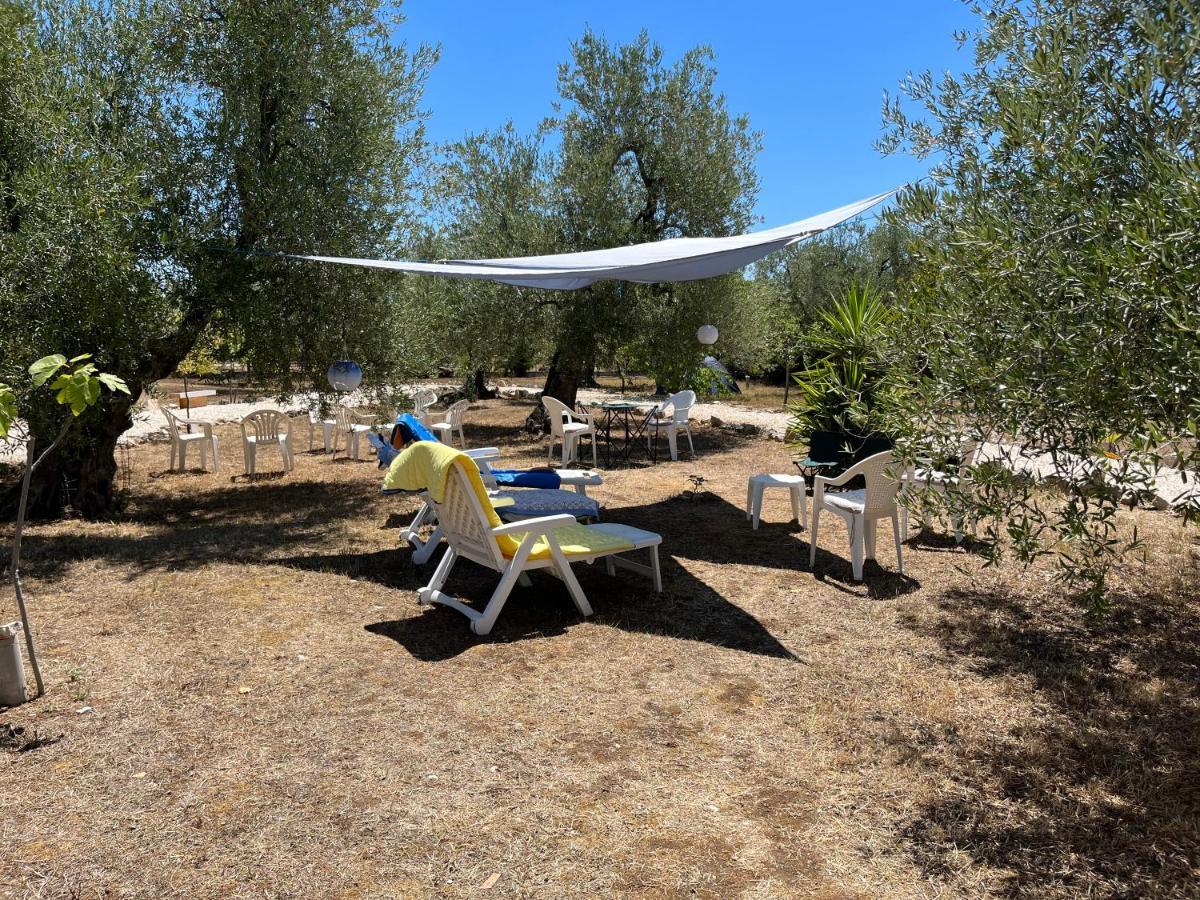 تراني B&B Villa Mediterranee Con Parking Space المظهر الخارجي الصورة