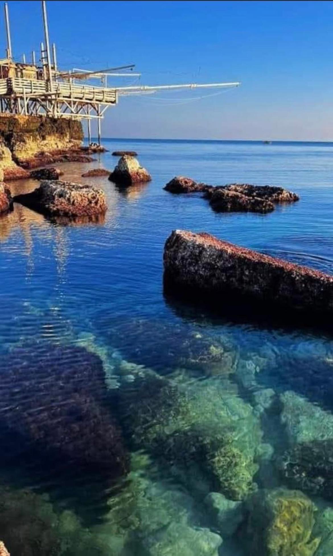 تراني B&B Villa Mediterranee Con Parking Space المظهر الخارجي الصورة