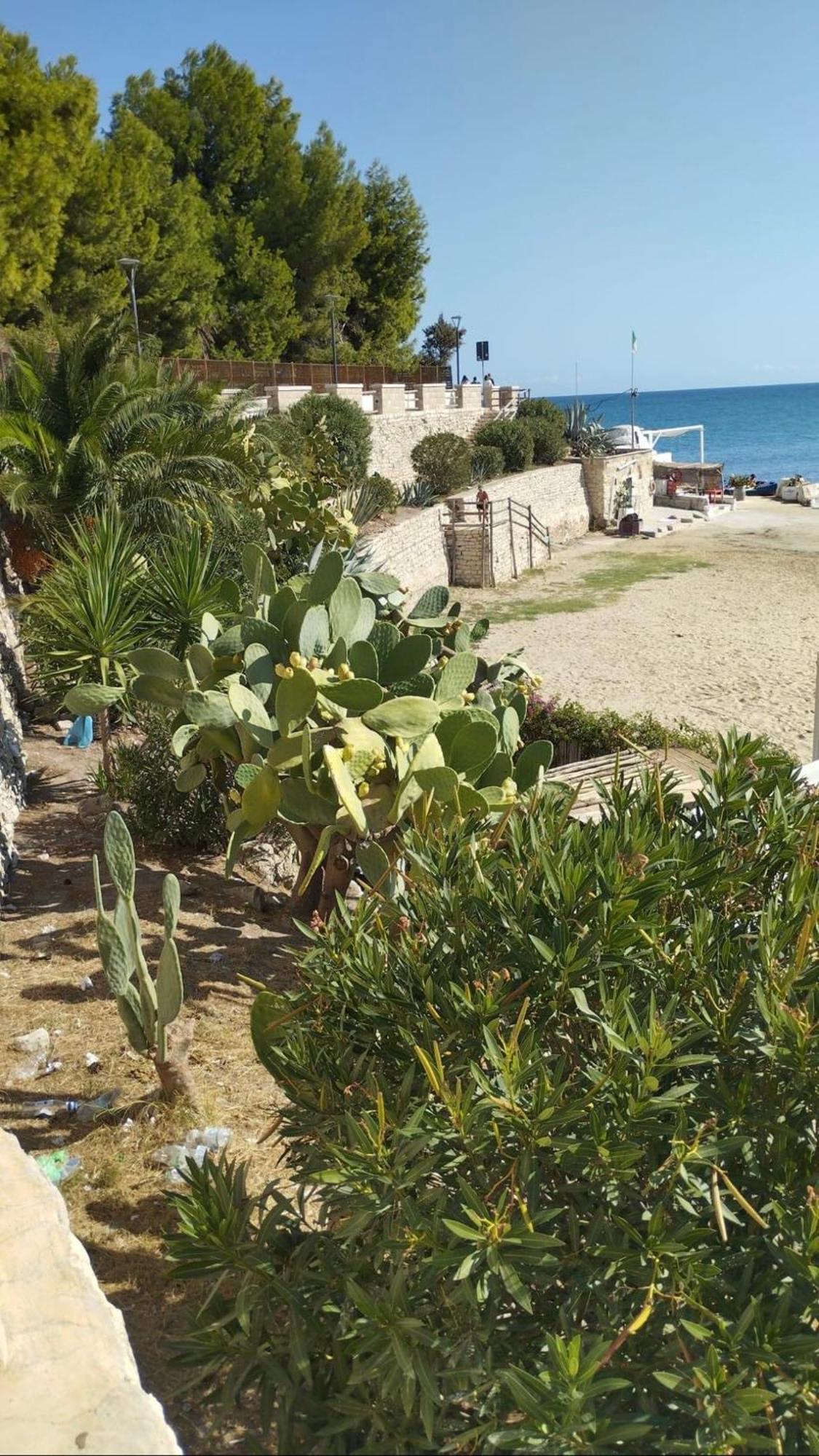 تراني B&B Villa Mediterranee Con Parking Space المظهر الخارجي الصورة