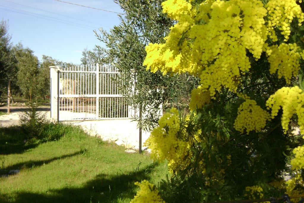 تراني B&B Villa Mediterranee Con Parking Space المظهر الخارجي الصورة